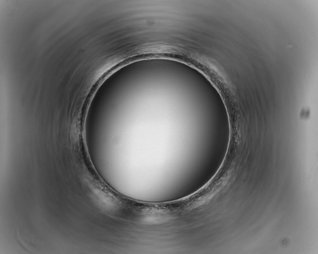 X0000099451073200805091501