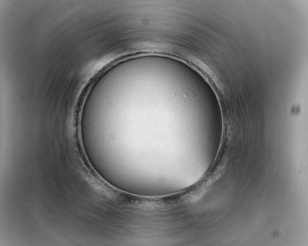 X0000099451074200805091501