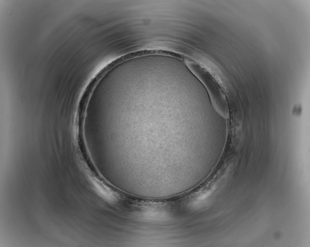 X0000099451076200805091501