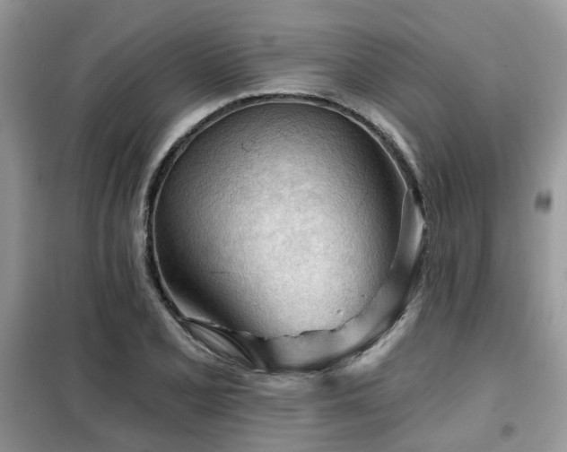 X0000099451077200805091501