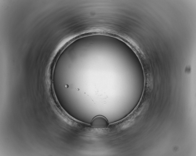 X0000099451078200805091501