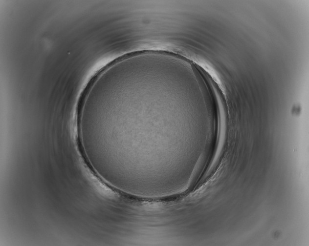 X0000099451080200805091501