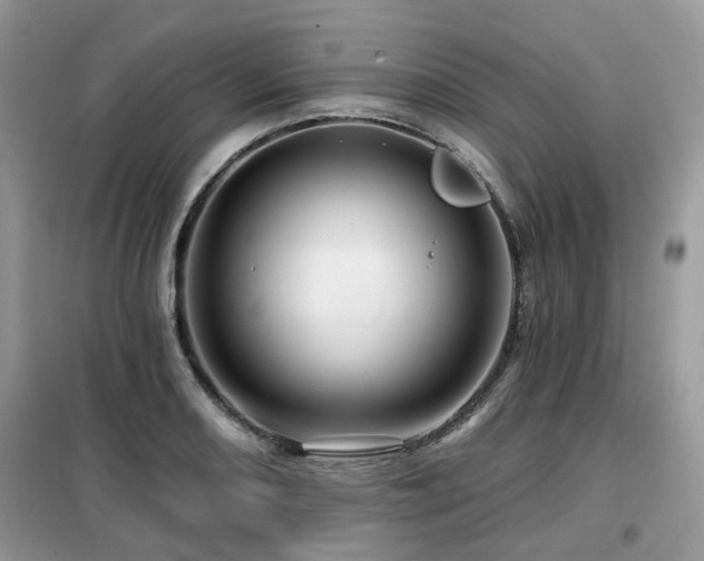 X0000099451082200805091501