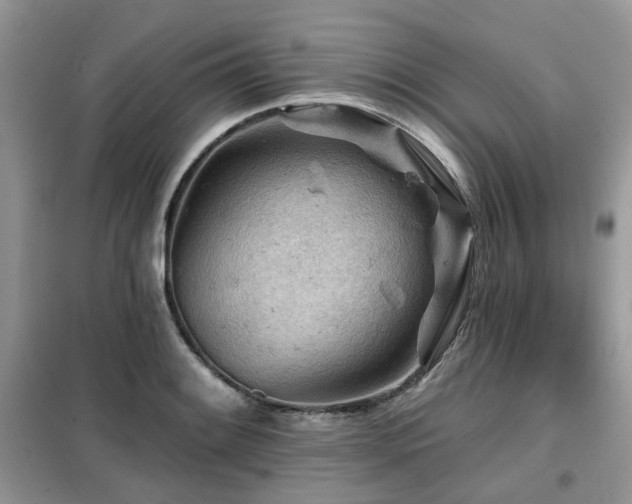 X0000099451084200805091500