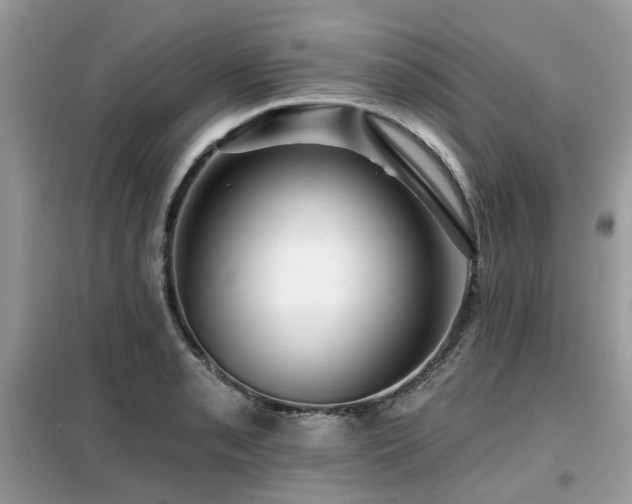 X0000099451085200805091500