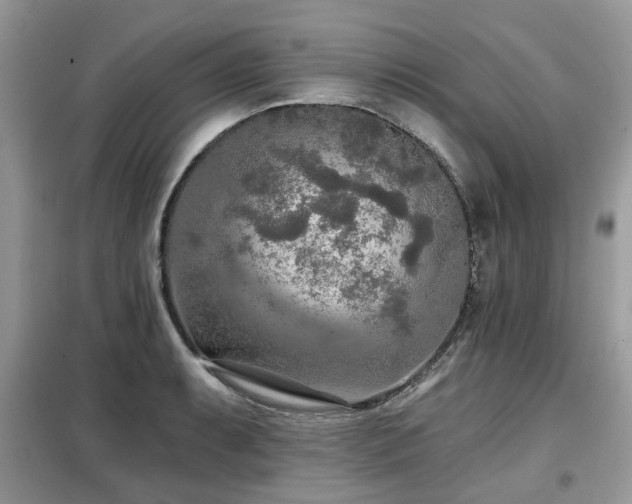 X0000099451087200805091500