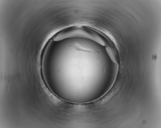 X0000099451088200805091500