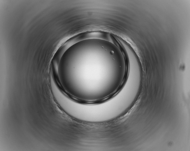 X0000099451089200805091500