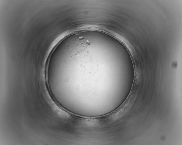 X0000099451090200805091500