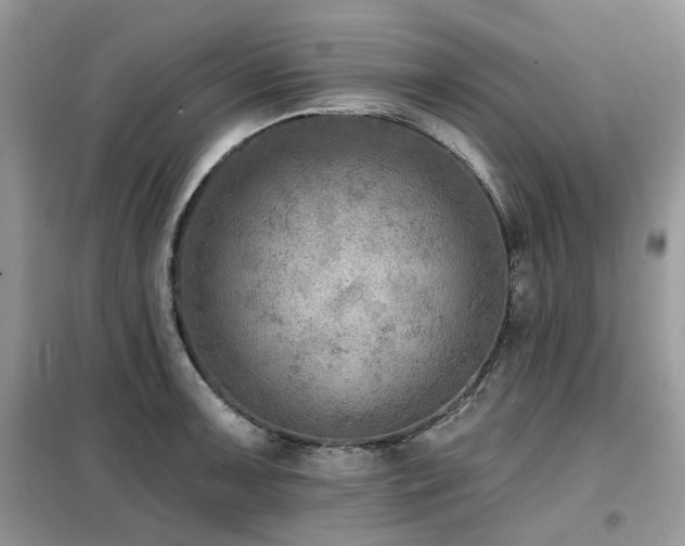 X0000099451091200805091500