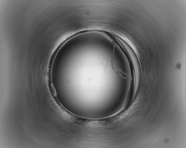 X0000099451093200805091500