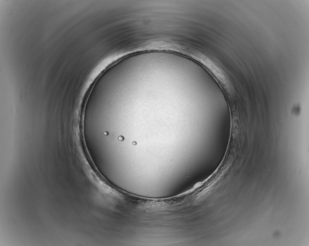 X0000099451094200805091500