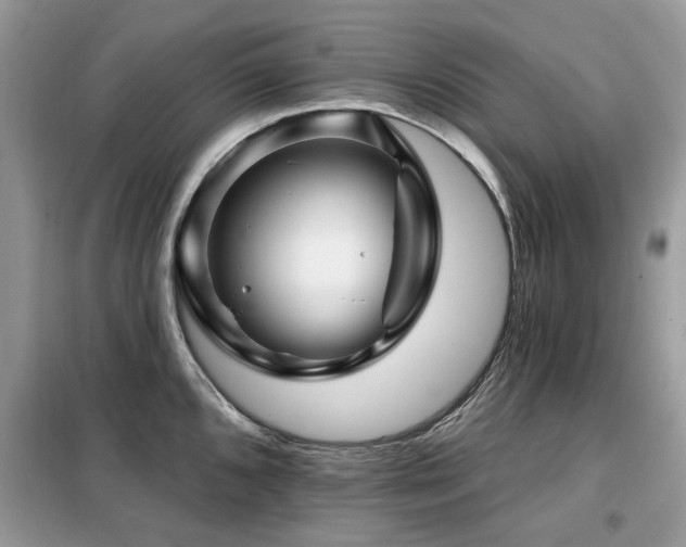 X0000099451096200805091500