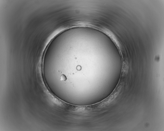 X0000099451098200805091500