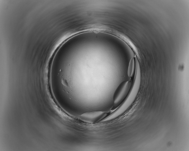 X0000099451099200805091500