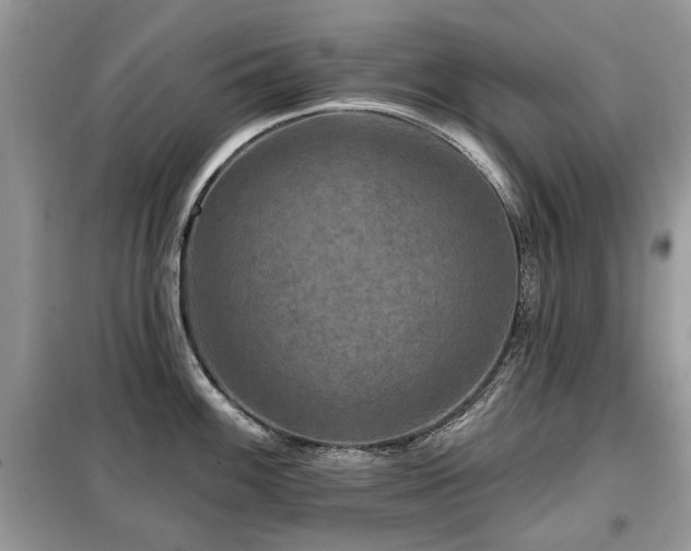 X0000099451100200805091500