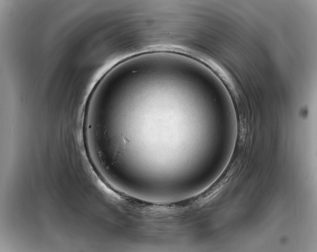 X0000099451102200805091500