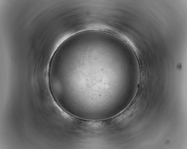 X0000099451103200805091500