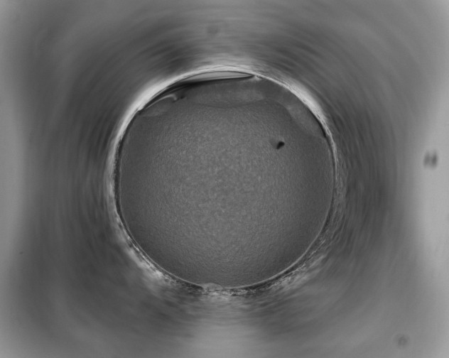 X0000099451104200805091500