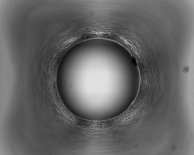 X0000099451105200805091500