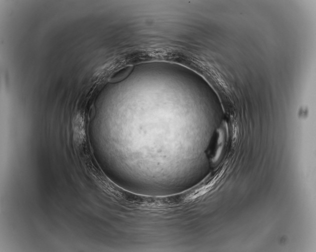 X0000099451106200805091500