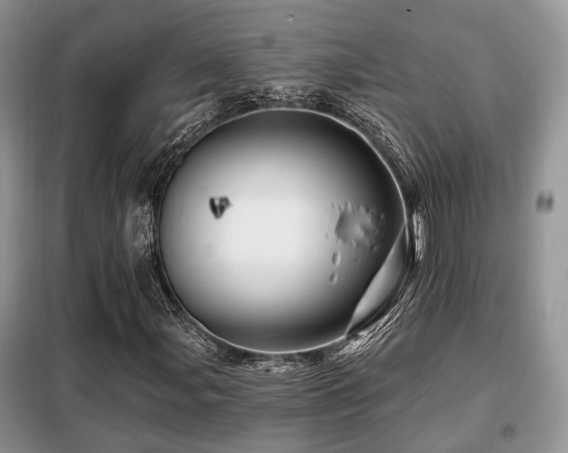 X0000099451107200805091500