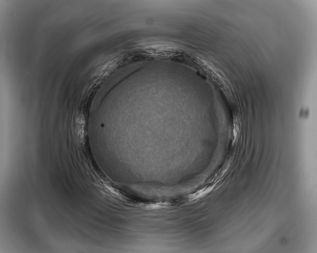 X0000099451108200805091500