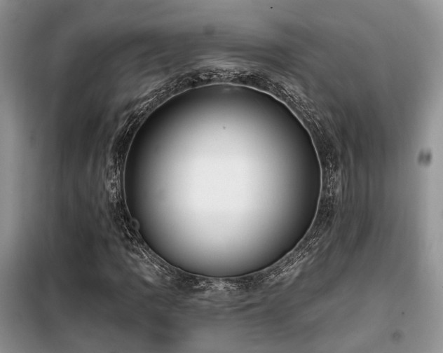 X0000099451109200805091500