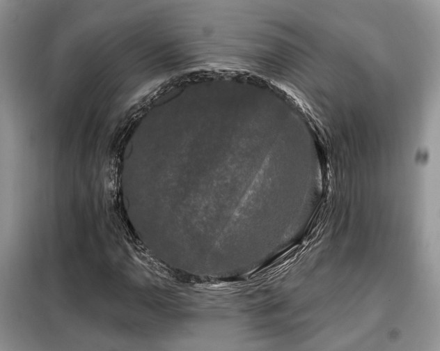X0000099451110200805091500