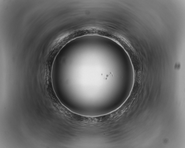 X0000099451111200805091500