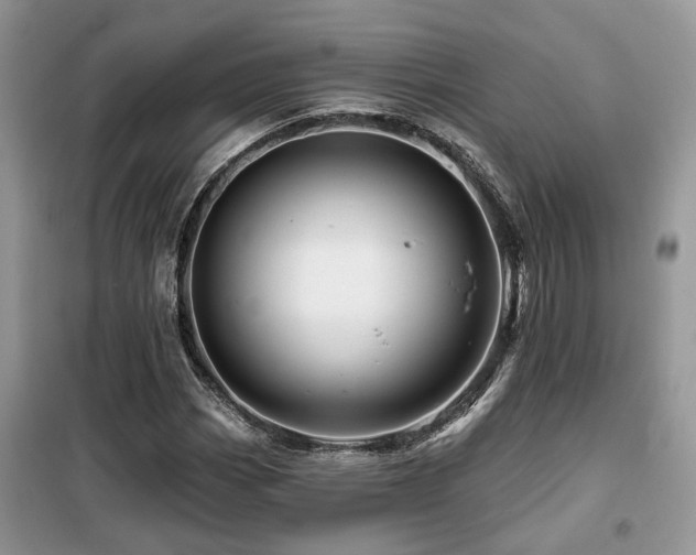 X0000099451113200805091500