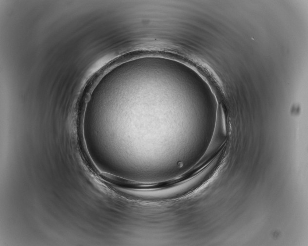 X0000099451114200805091500
