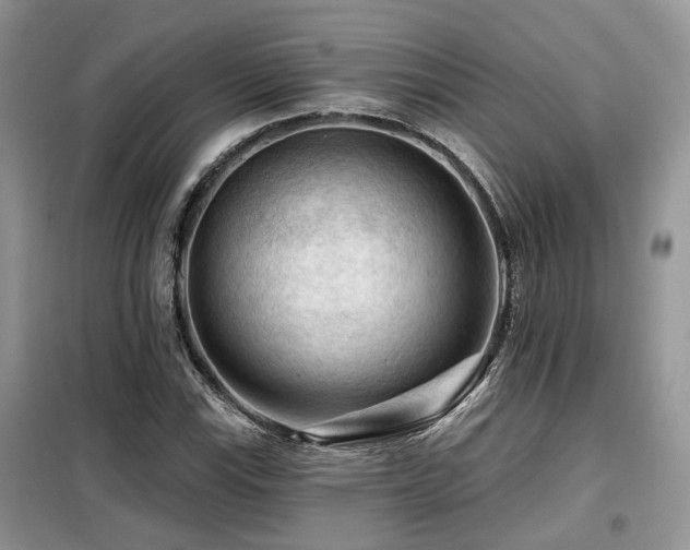 X0000099451115200805091500