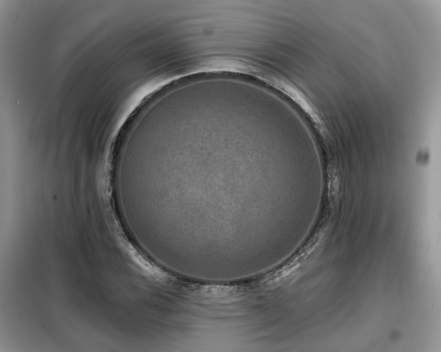 X0000099451116200805091500