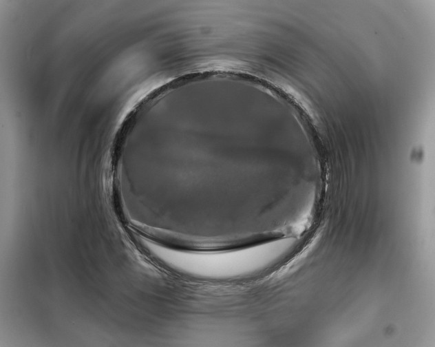 X0000099451117200805091500