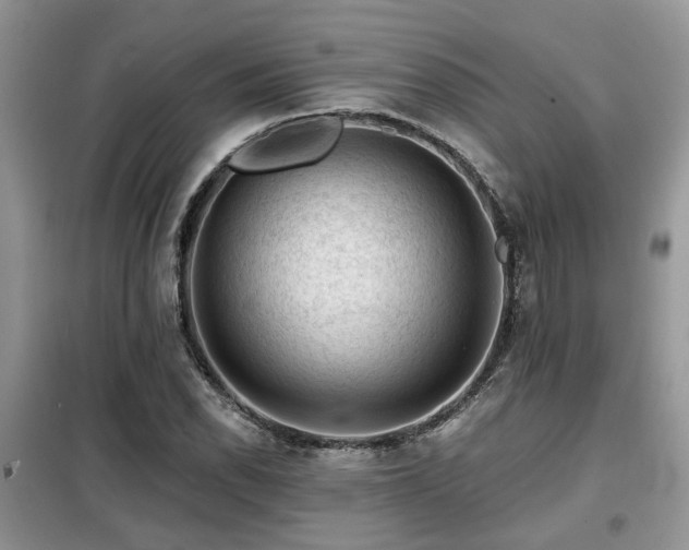 X0000099451118200805091500