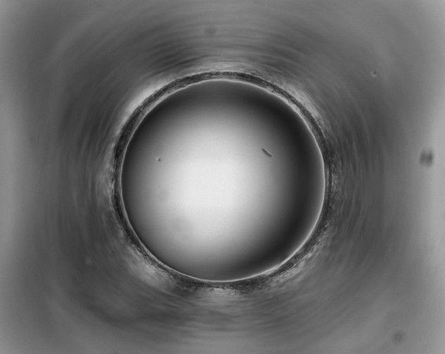 X0000099451119200805091500