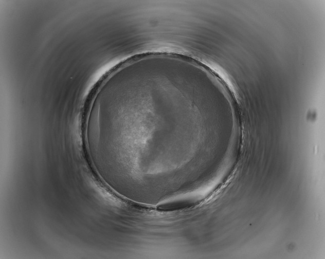 X0000099451120200805091500