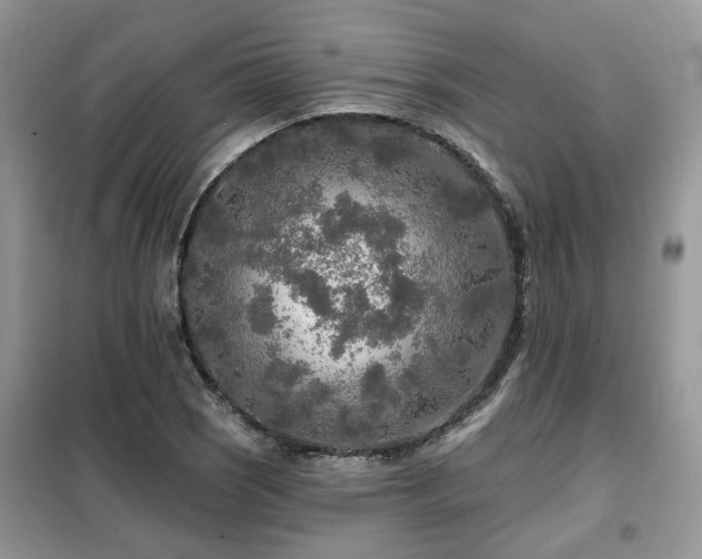 X0000099451121200805091500