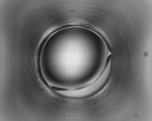 X0000099451122200805091500