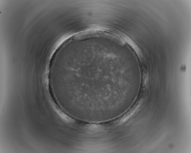 X0000099451124200805091500
