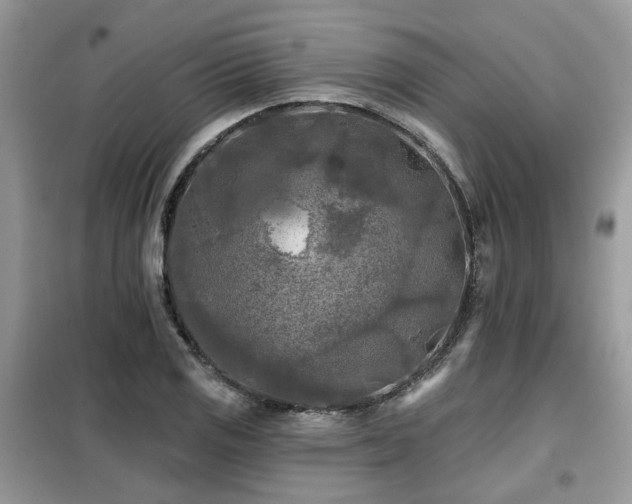 X0000099451125200805091500