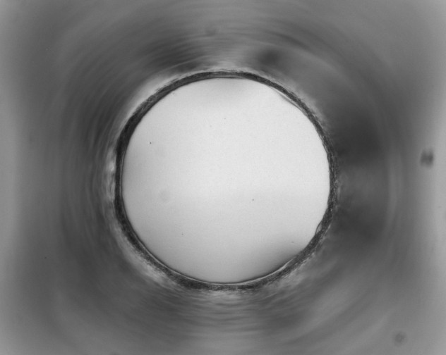 X0000099451126200805091500