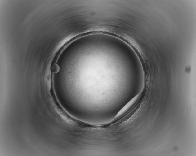 X0000099451127200805091500