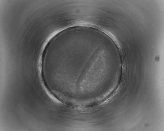 X0000099451128200805091500