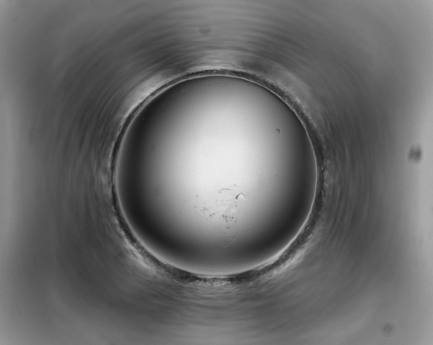 X0000099451129200805091500