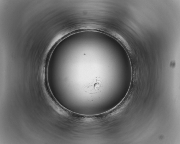 X0000099451130200805091500