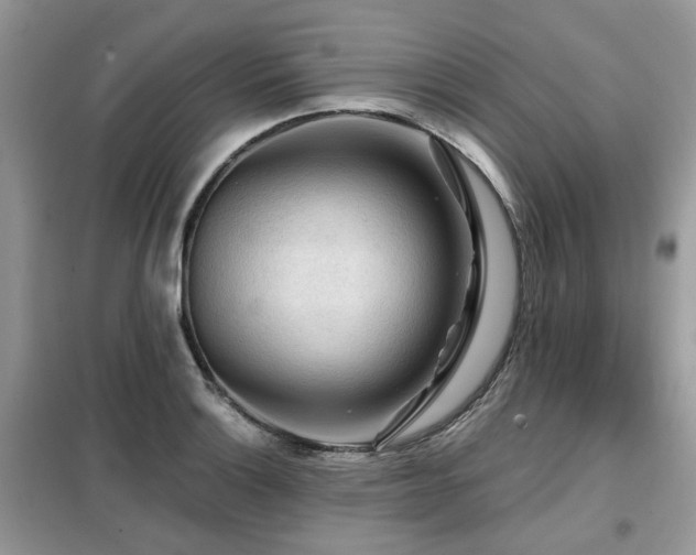 X0000099451132200805091500