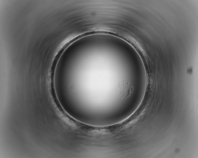 X0000099451133200805091500