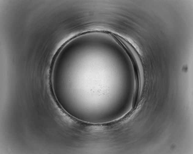 X0000099451134200805091500